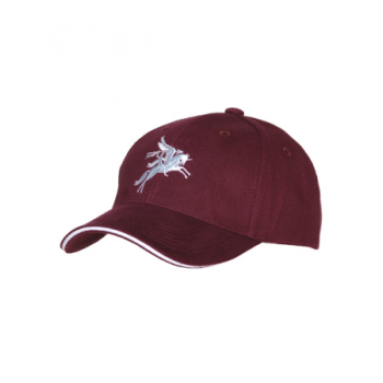 Casquette Pegasus