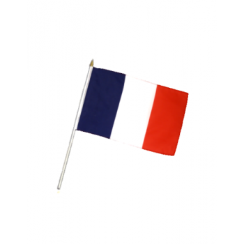 Drapeau petit modèle : France