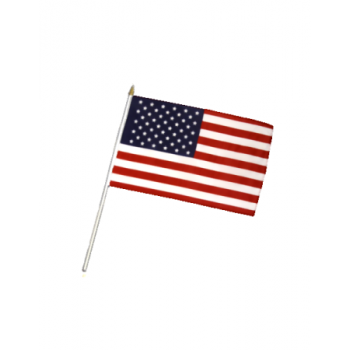 Small Flag : USA