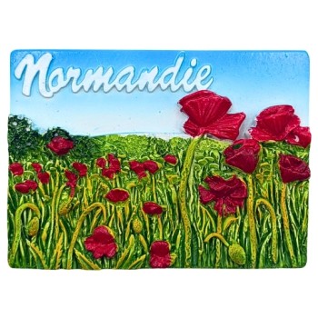 Magnet relief : Normandie...