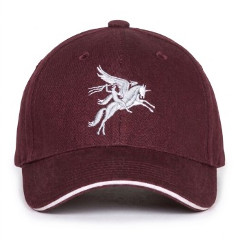 Casquette Pegasus